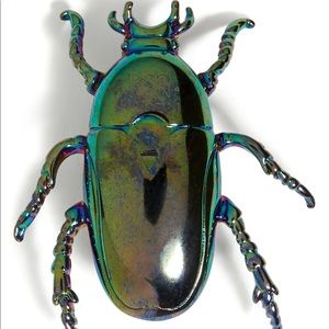Banana Republic Beetle Brooch